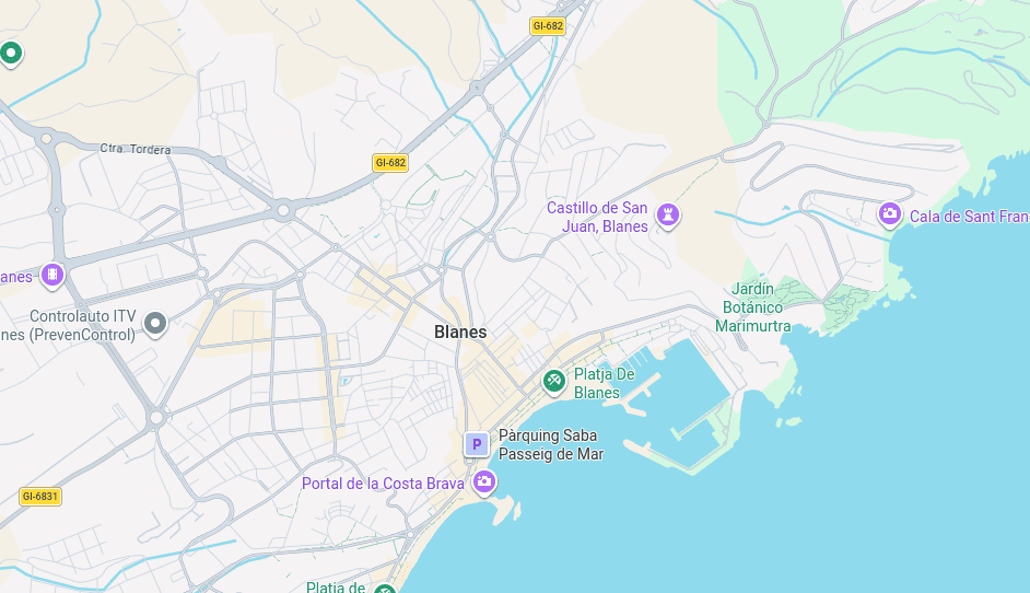 Google Maps
